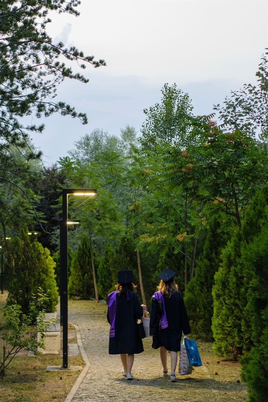 Two graduates in caps and gowns walking away along a tree-lined path.